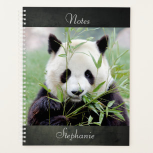Notebook Photo giant panda , animals 04. notebook Planner