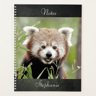 Notebook Photo red panda , animals 01. notebook Planner