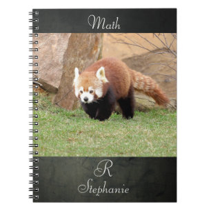 Notebook Photo red panda , animals 0436.