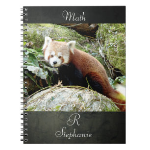 Notebook Photo red panda , animals 0437.