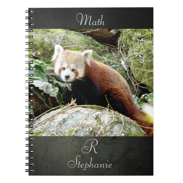 Notebook Photo red panda , animals 0437. (Front)