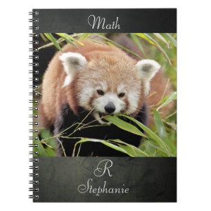 Notebook Photo red panda , animals 0443.