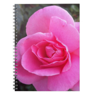 Notebook - Pink Rose