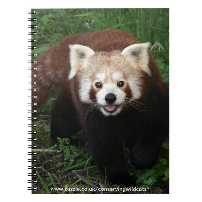 notebook - red panda (Front)