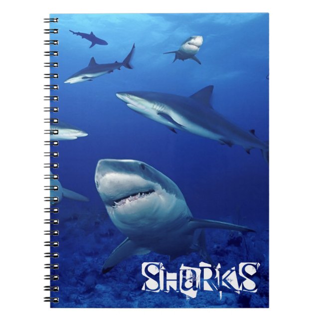 Notebook-Sharks Notebook (Front)