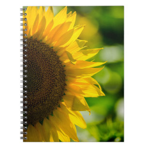 Notebook - Sunflower In The Field