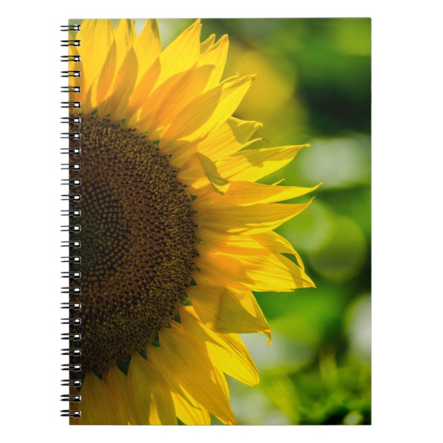 Notebook - Sunflower In The Field (Front)