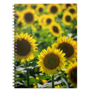 Notebook - The Sunflower Field