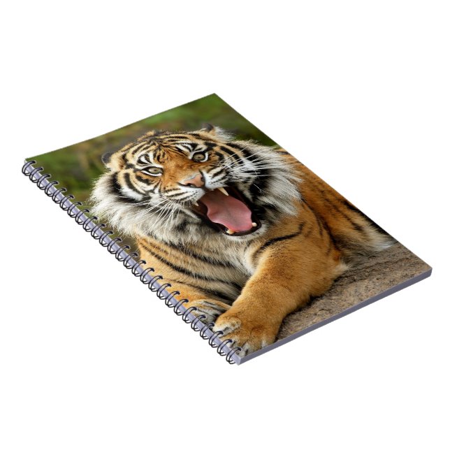 Notebook-Tiger Notebook (Right Side)