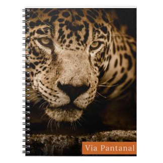 Notebook Via Pantanal Jaguar