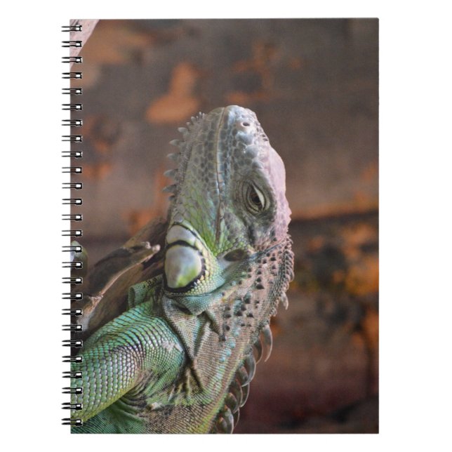Notebook with colourful Iguana lizard (Front)