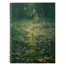 Notebook with nature photography