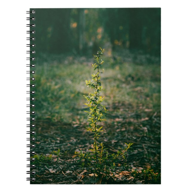 Notebook with nature photography (Front)