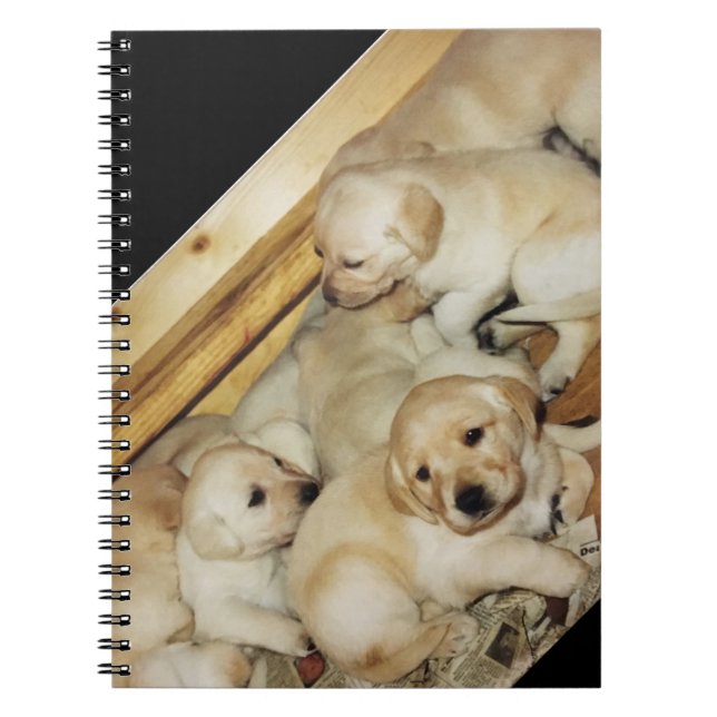 Notebook with photo of yellow lab puppies (Front)