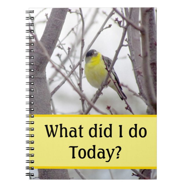 Notebook - Yellow Bird in Tree Branches (Front)