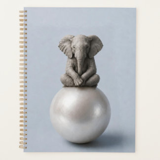 Notebooks Planner