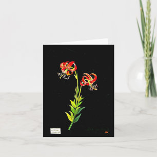 Notecard-Botanical Art-Mary Delany 11 Card