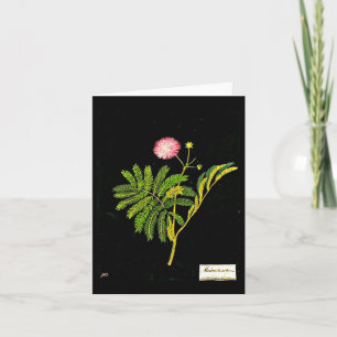 Notecard-Botanical Art-Mary Delany 15 Card
