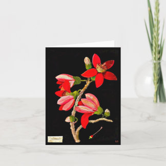 Notecard-Botanical Art-Mary Delany 17 Card