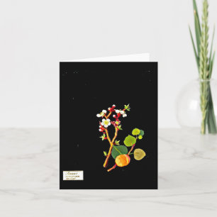 Notecard-Botanical Art-Mary Delany 9 Card