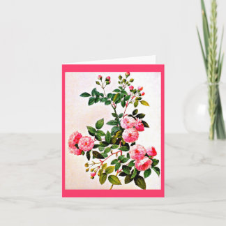 Notecard-Botanicals-Pierre Joseph Redoute 14 Card