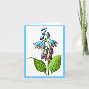 Notecard-Botanicals-Pierre Joseph Redoute 17 Card