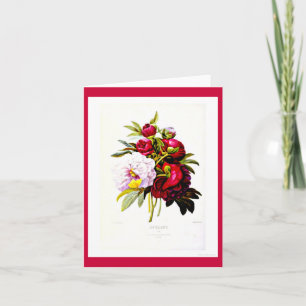 Notecard-Botanicals-Pierre Joseph Redoute 7 Card
