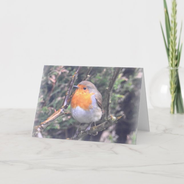 Notecard: British Robin Card (Front)