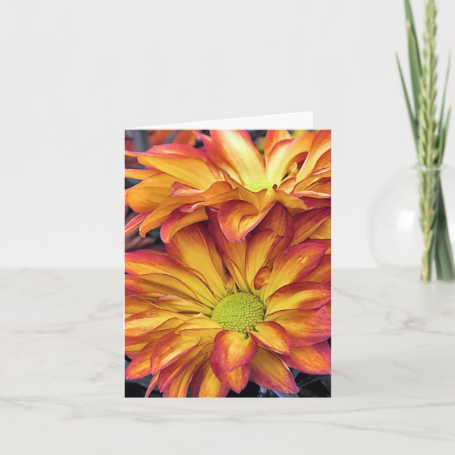 Notecard - Chrysanthemums (Front)