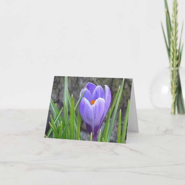 Notecard - Crocus (Front)