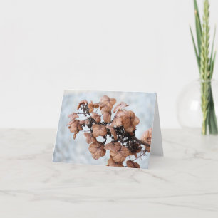 Notecard - Hydrangea in winter