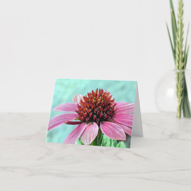 Notecard - Pink Coneflower (Front)