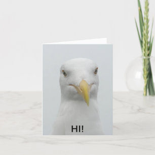 Notecard - Seagull says "Hi!"