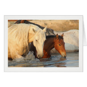 Notecard showing showing Wild Horses and her baby