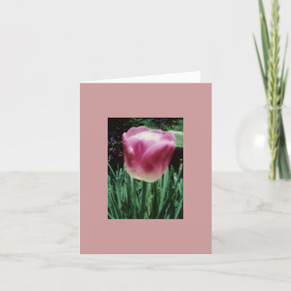 NoteCard Tulip