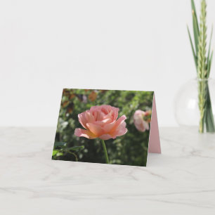 Notecard with Beautiful Coral Rose