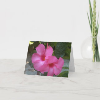 Notecard with pink flowers