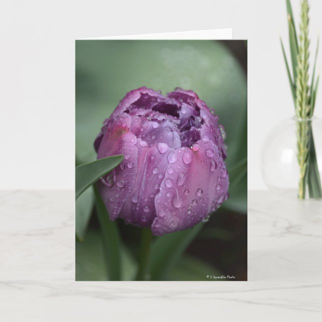 Notecard with purple tulip (Front)