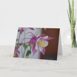Notecard with Songbird Columbine