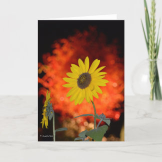 Notecard with Sunflower