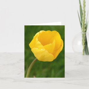 Notecard Yellow Tulip