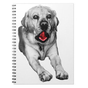 Notes After a Yawn Notebook