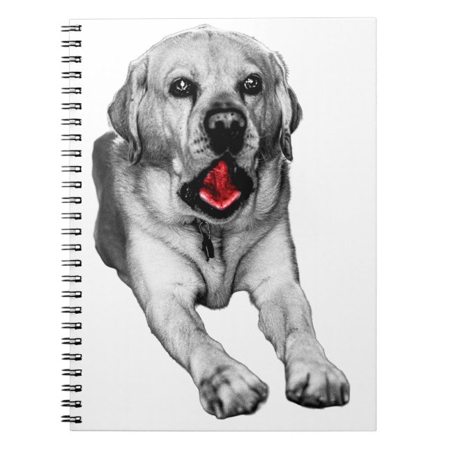 Notes After a Yawn Notebook (Front)