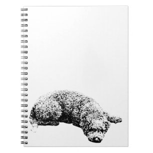 Notes by the Window Notebook