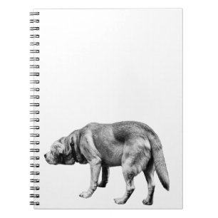 Notes from a Faithful Patrol Notebook