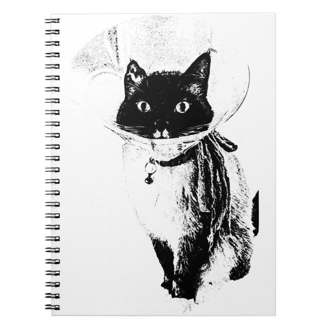 Notes from the Cone Notebook (Front)