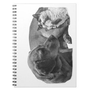 Notes with a Cozy Duo Notebook