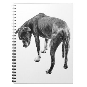 Notes With a Lick of Humour Notebook