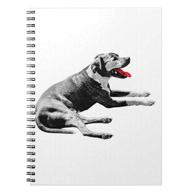 Notes with a Red-Tongue Lounger Notebook (Front)