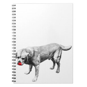 Notes with a Wink Notebook